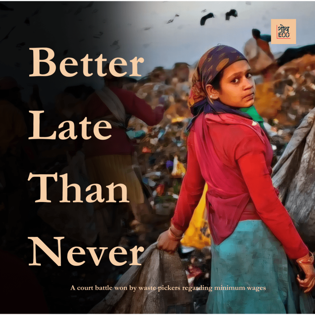 Better Late Than&nbsp;Never